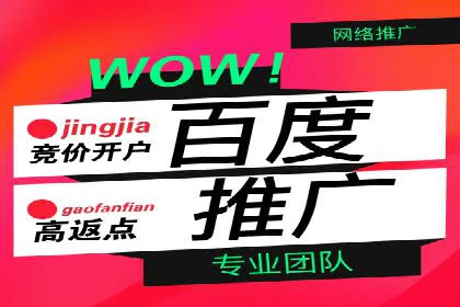 探索百度SEM竞价推广的奥秘：某行业巨头的成功经验